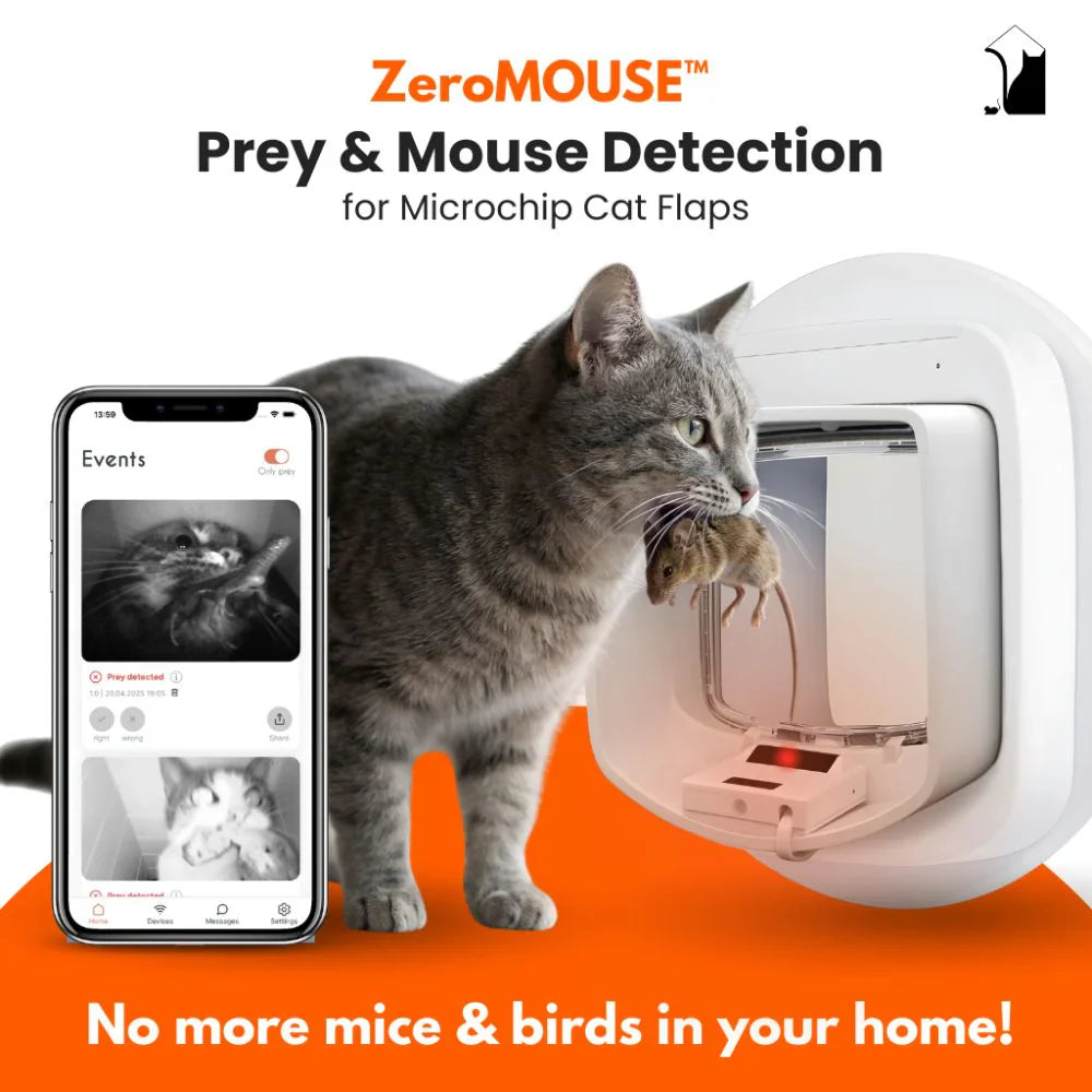 Smart Living| Paws-X