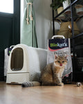 Paws-X Duo Pack  2 x Biokat’s Diamond Care Fresh 8L