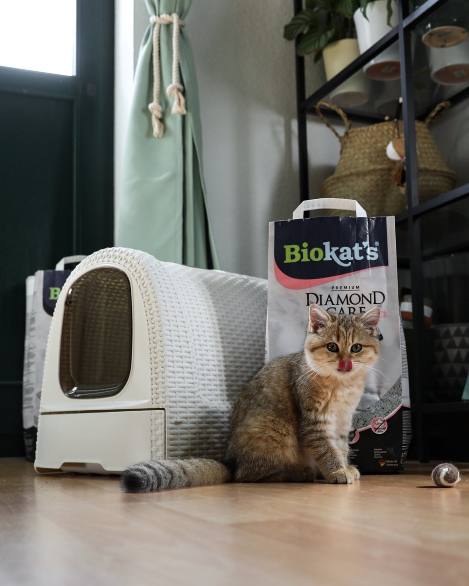 Paws-X Duo Pack  2 x Biokat’s Diamond Care Fresh 8L