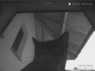 ZeroMOUSE 2.0 Slimme uitbreidingskit voor je kattenluik