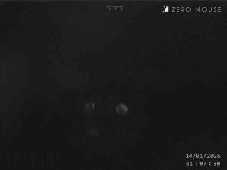 ZeroMOUSE 2.0 Slimme uitbreidingskit voor je kattenluik